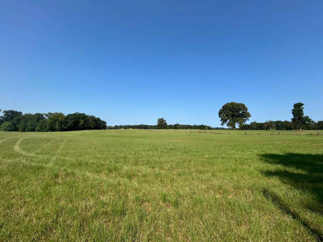 20± Acres with Pond, Tree's and Road Access