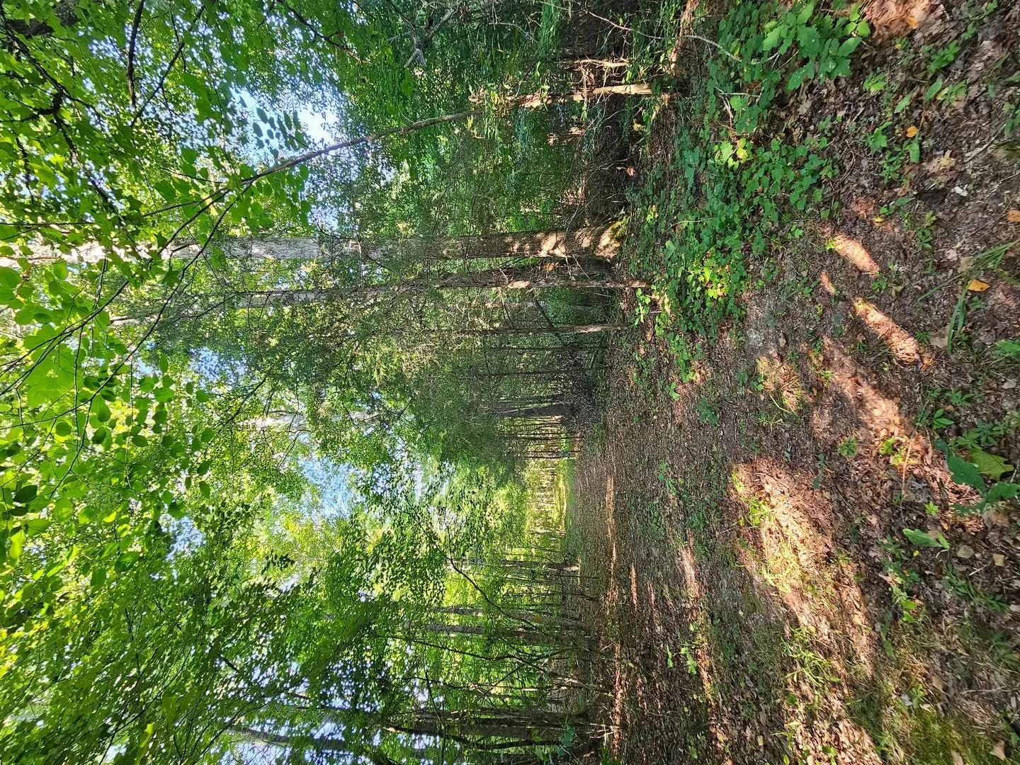 32856302-16