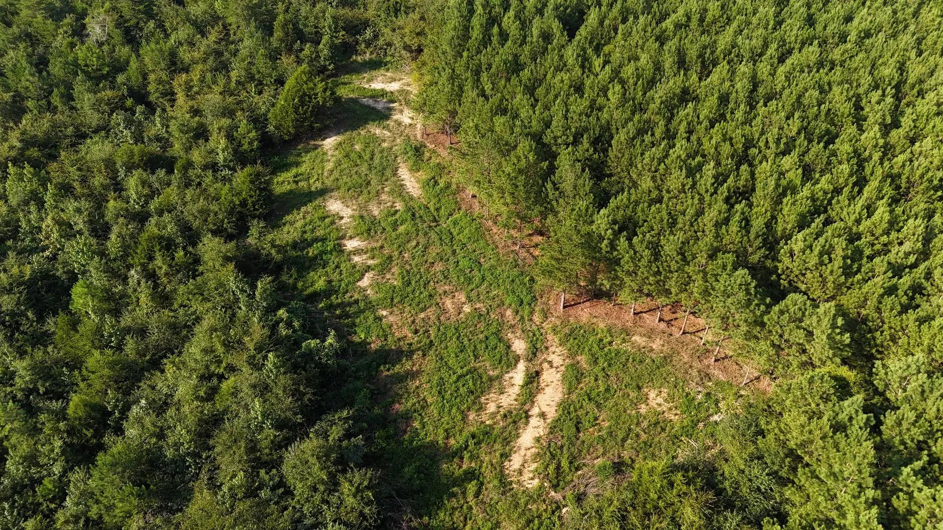32856302-29
