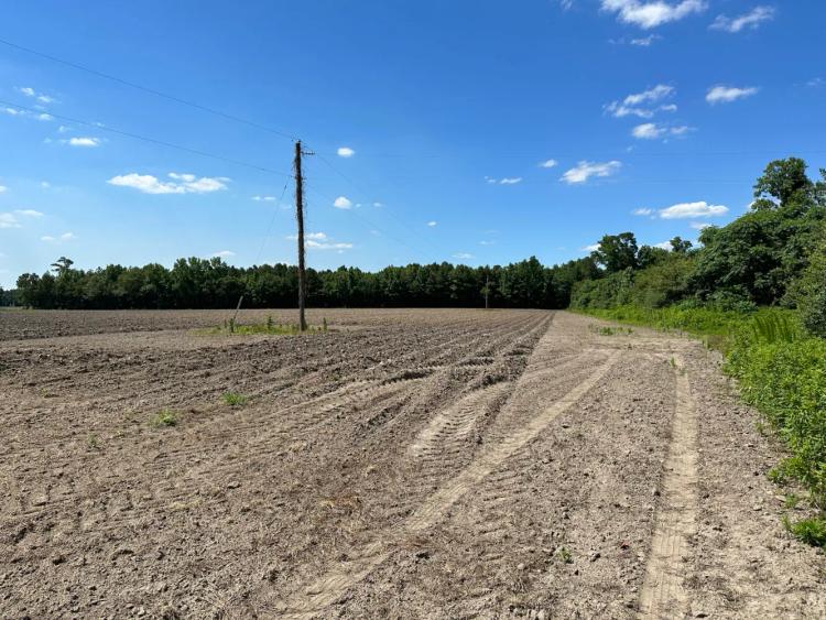 62.55 Acres at 14821 0 US-301