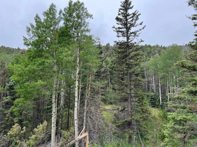 Tract 27 Spanish Peaks Ranch Estates Aguilar, CO 81020