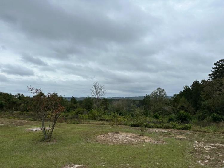 9.00 Acres at 0 County Road 11, Tract A