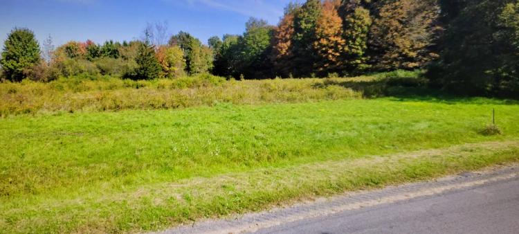4.5 acre Land for Sale Richland NY