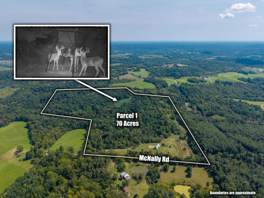 Multi-Parcel Auction 128.889 acres Morgan County 