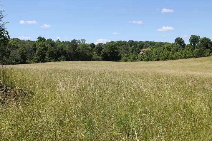 129 Acre Hay Farm in Southeastern Randolph County