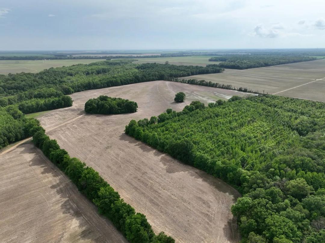 Hampton Lake Farm