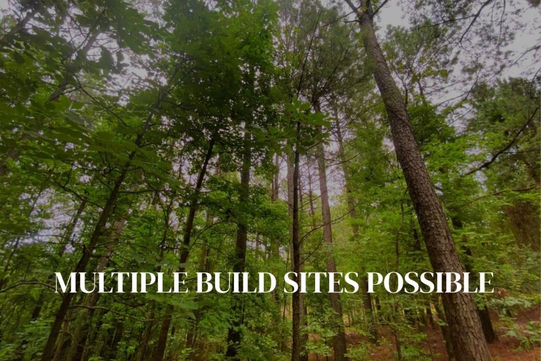 Build Your Vision on 5 Acres | Sugarberry Trail