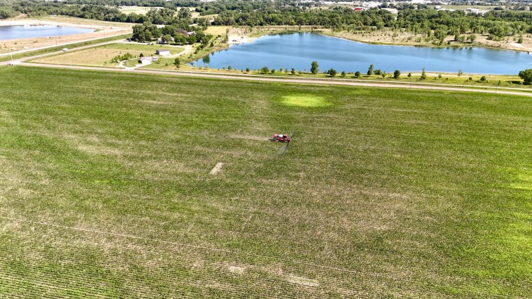 Olson Developement Opportunity