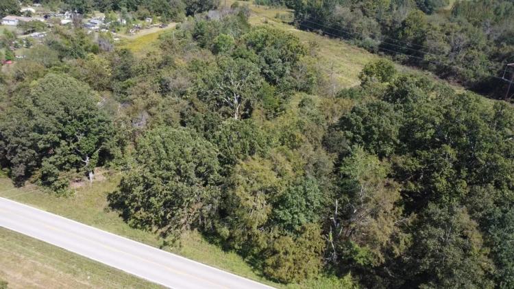 10+/- Acre Residential Lot For Sale in Naylor, MO