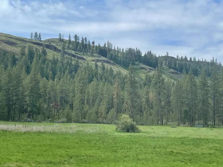 Welch Creek Road