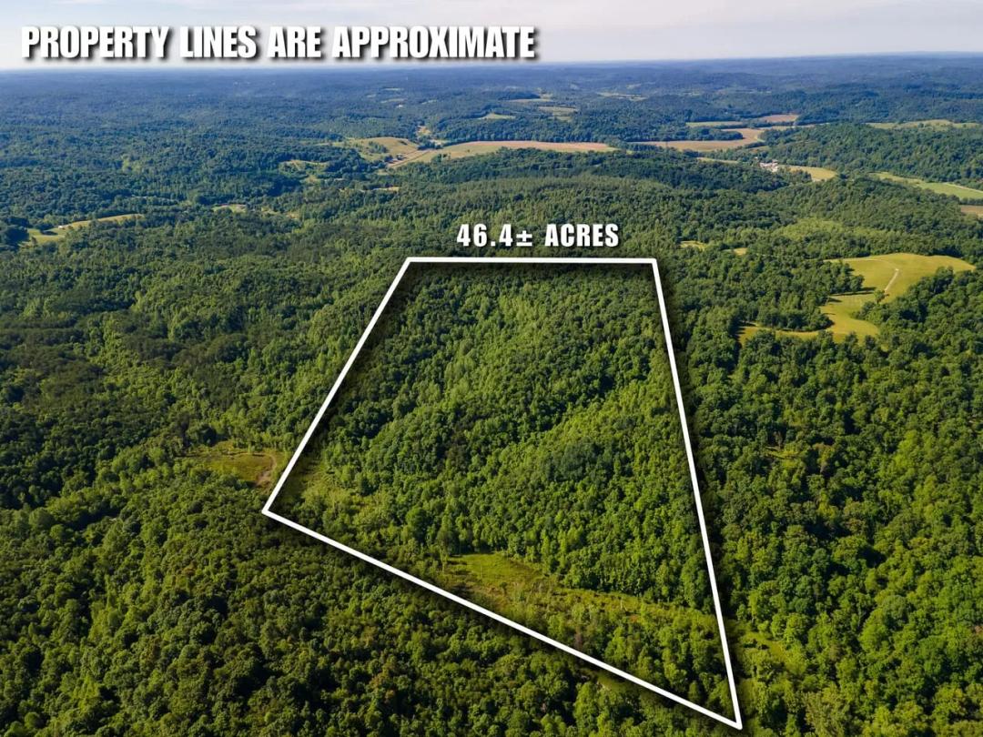 St Rt 141 Parcel 2 - 45 acres