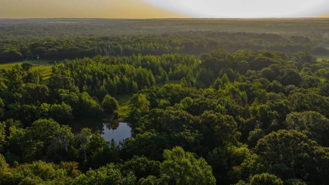 Whispering Pines Ranch - 176.9 acres - Van Zandt County 