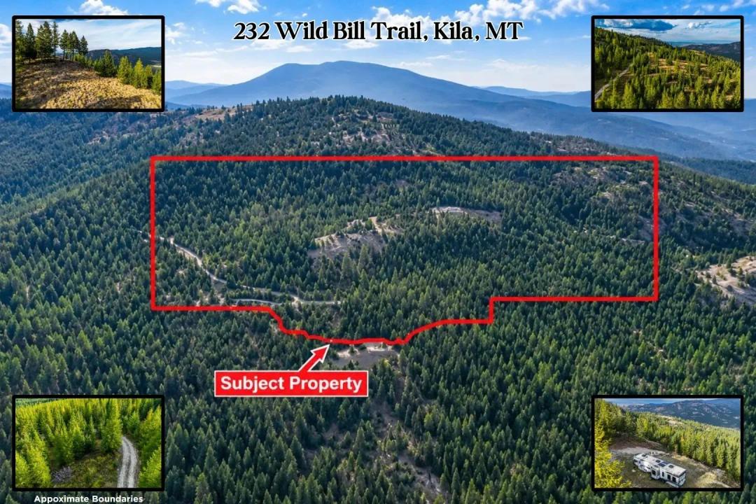 232 Wild Bill Trail, Kila, Montana 59920