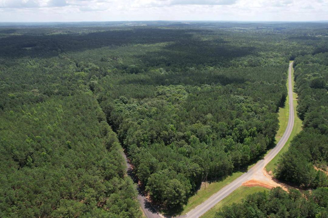 137 Acres in Attala County, MS