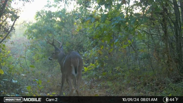 Thompsonville Rd - 483 acres - Vinton County