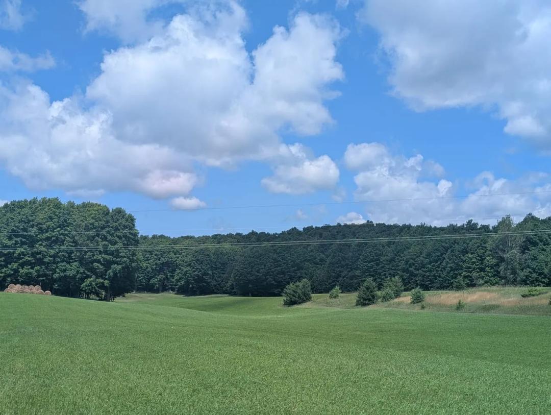 63+- acres prime mixed habitat parcel Ellsworth MI