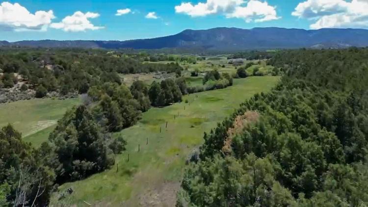 Bear Paw Valley 70 Acres