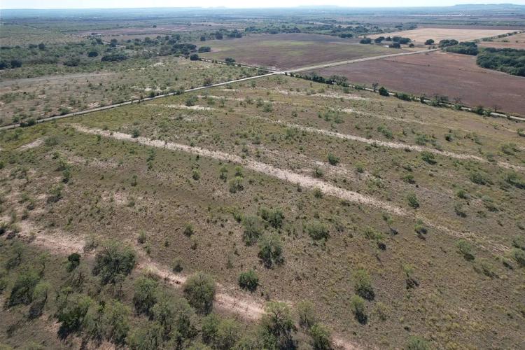 12.5+/- Acres, Taylor County (Tract 2)