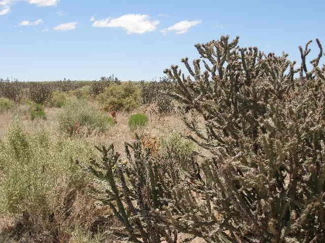 2 adjoining parcels. 1 acre.  Rio Rancho New Mexico
