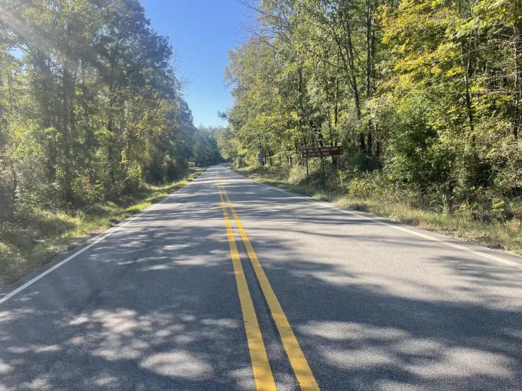 Lawrence Co., AL 18 Acres Bordering Bankhead National Forest