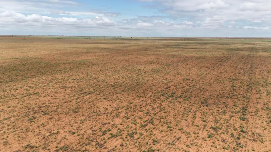 177± Acres Cochran County