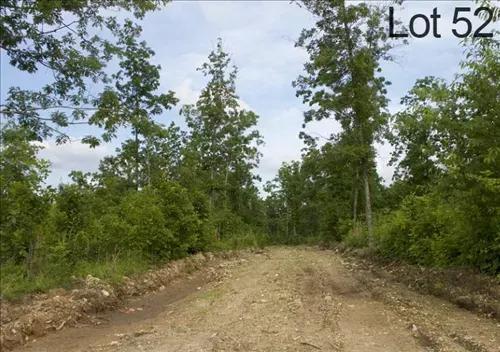 Missouri, Shannon County, 8.13 Acre