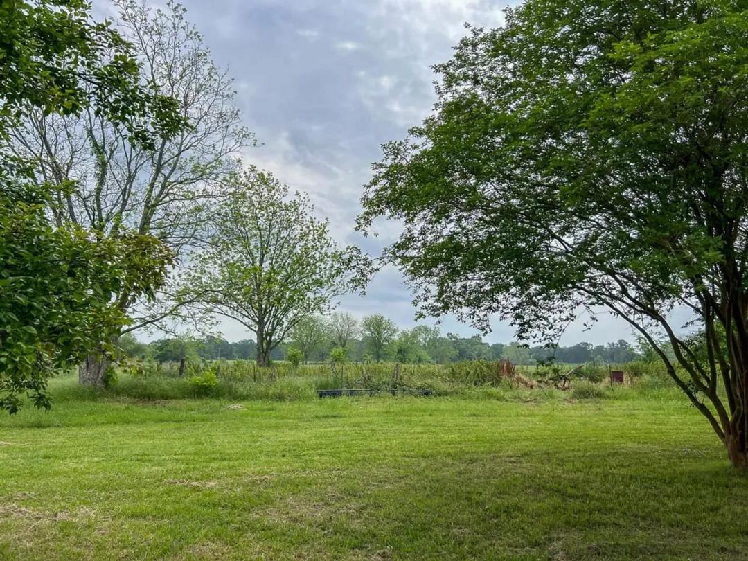 19 Acres | T-20 | County Road 3630