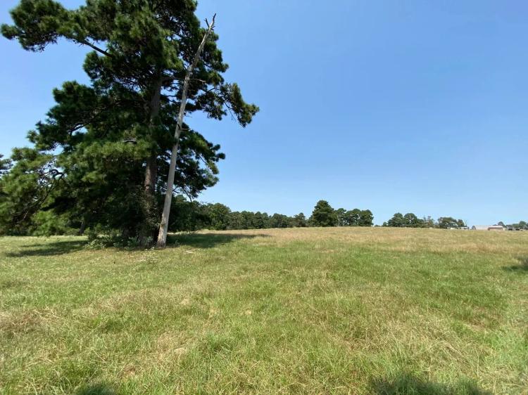306 Ranch