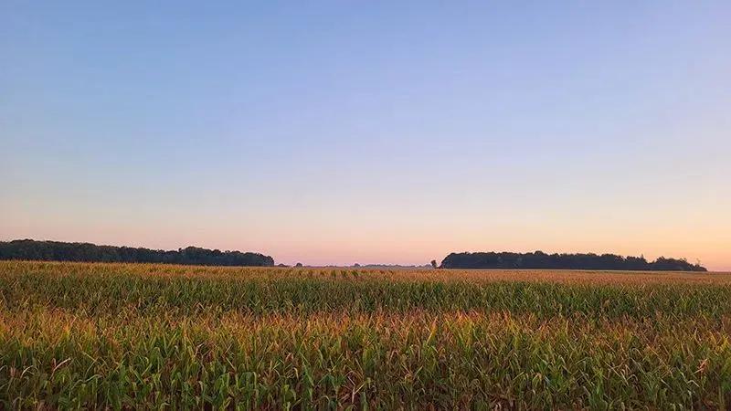 Agness Farm