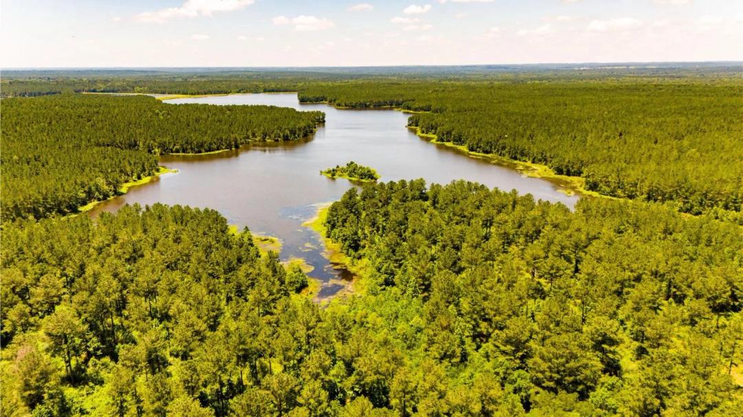 Premier Trophy Lake Offering Exceptional Development Potential