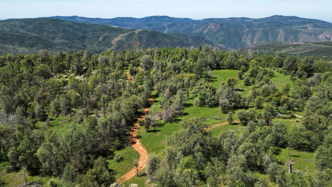 Neuman Ranch