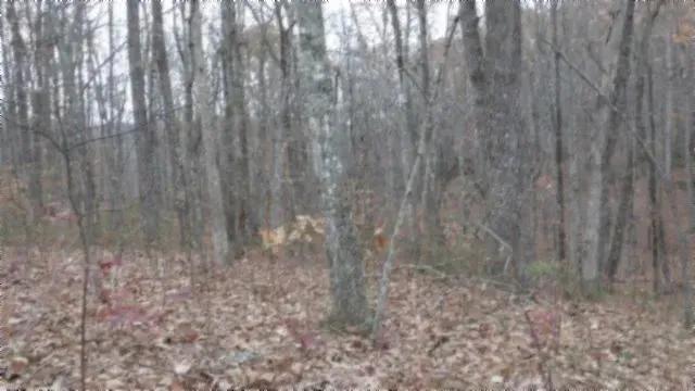 Cumberland Cove Rd