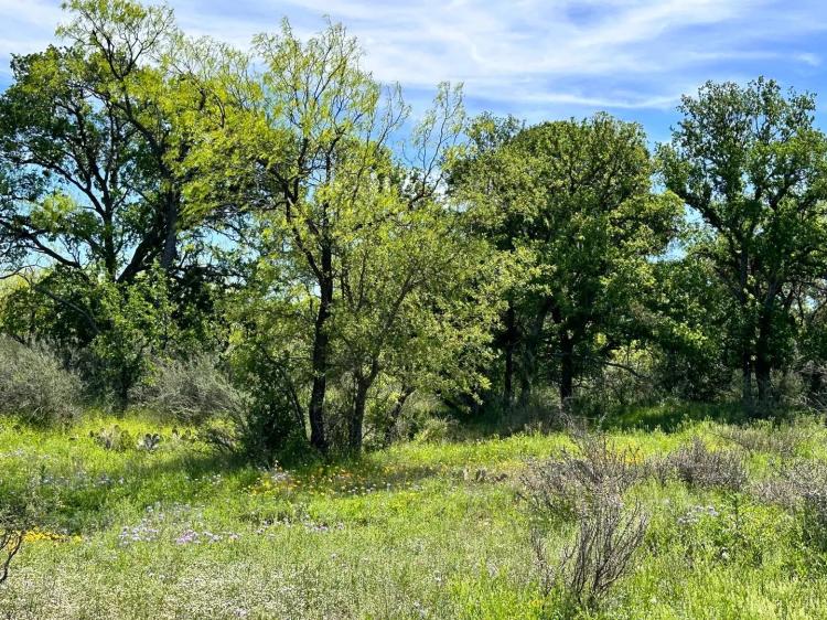853 +/- Acres....Creek, Elevation, Hunting, Heavy Cover, Food Plots, Much more!