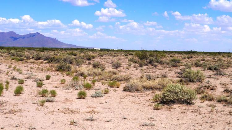 4 adjoining lots. 2 full acres of Sunny Southern New Mexico