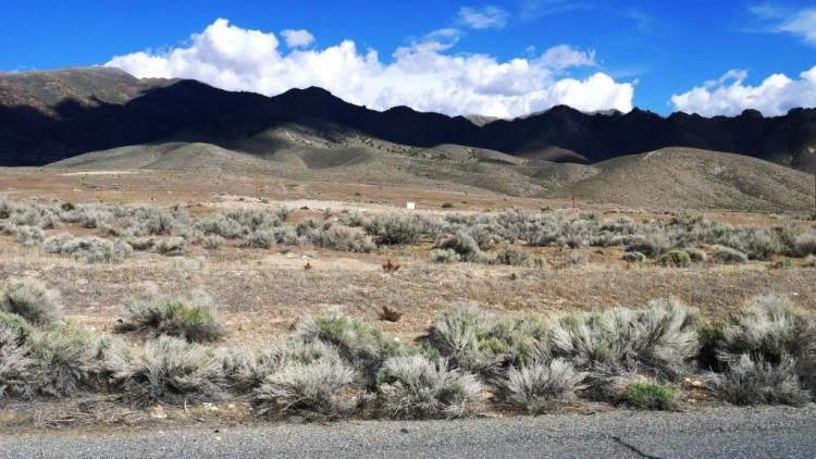3 Adjoining Lots - 3 buildable lots - Mountain views - Rye Patch Reservior