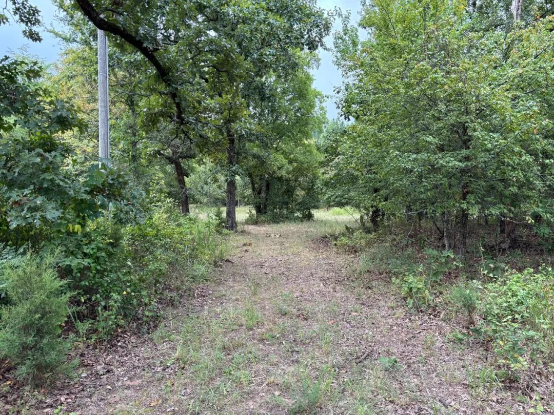 Private 13-Acre Retreat with Cypress Creek, Utilities & Incredible Hunting Access