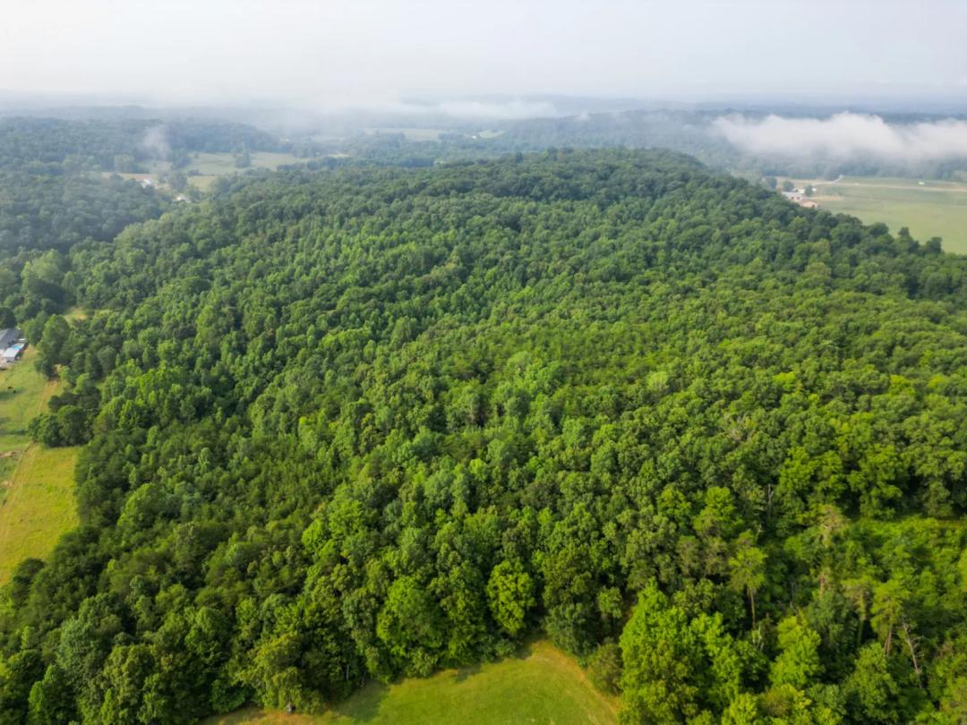 Adamsville Road Hunting Farm