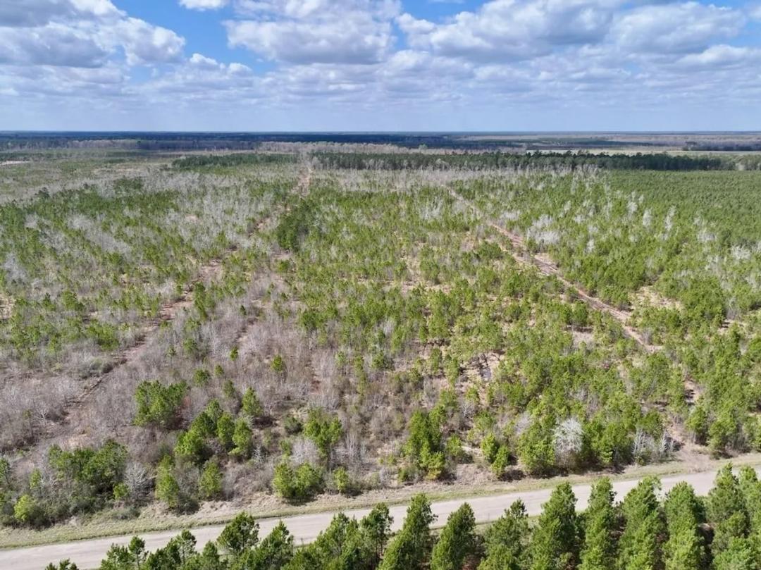 34 acres of Hunting and Recreational Land For Sale in Craven County NC!