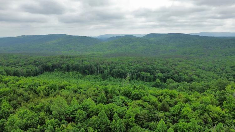 29 Acres in Catoosa County, GA 