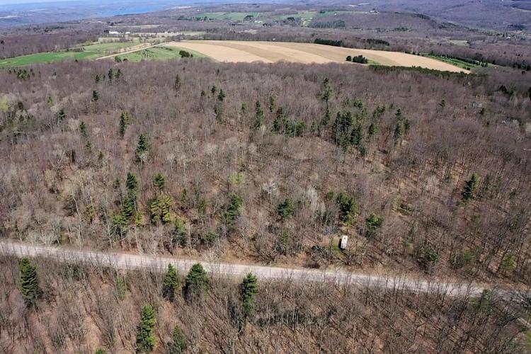 30 Wooded Acres in Springwater NY Swartz Rd