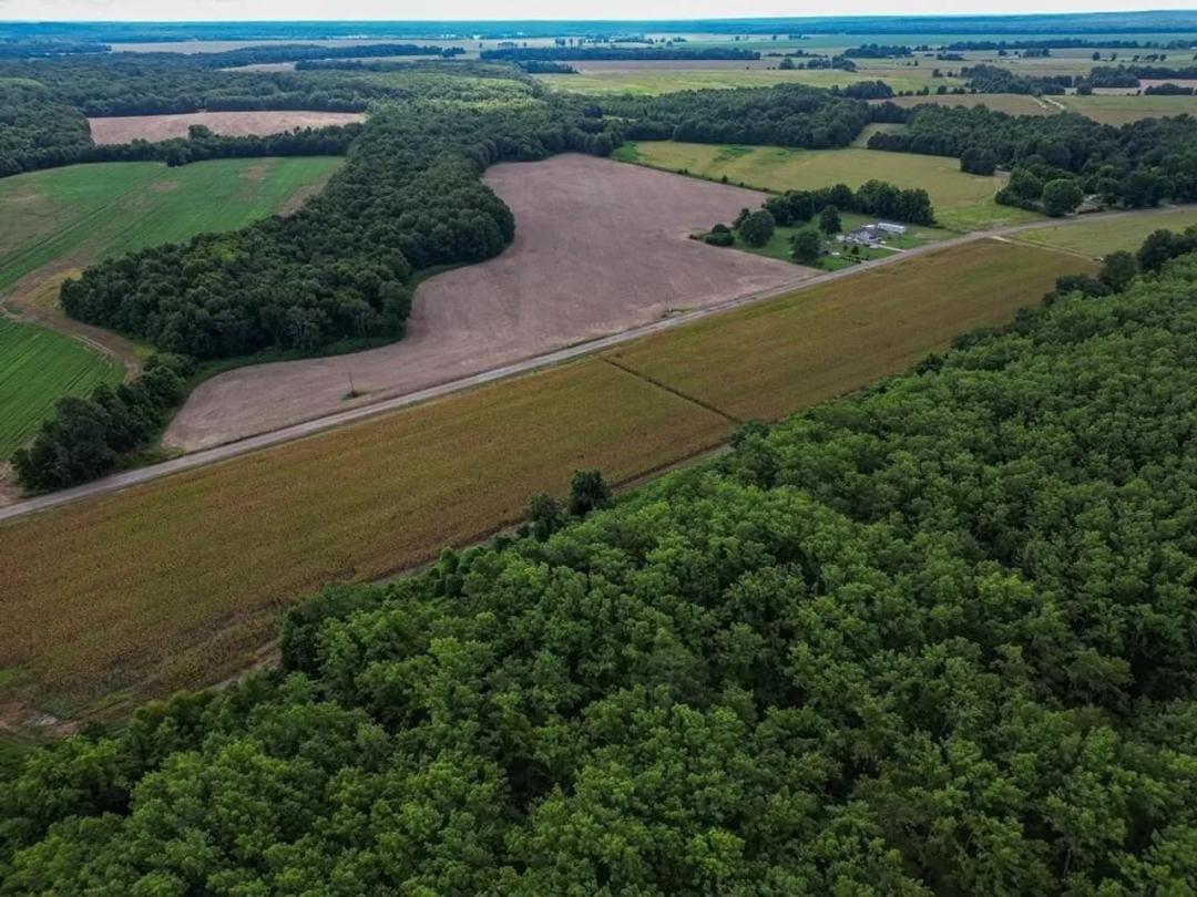 Tchula MS Delta 97 Acres