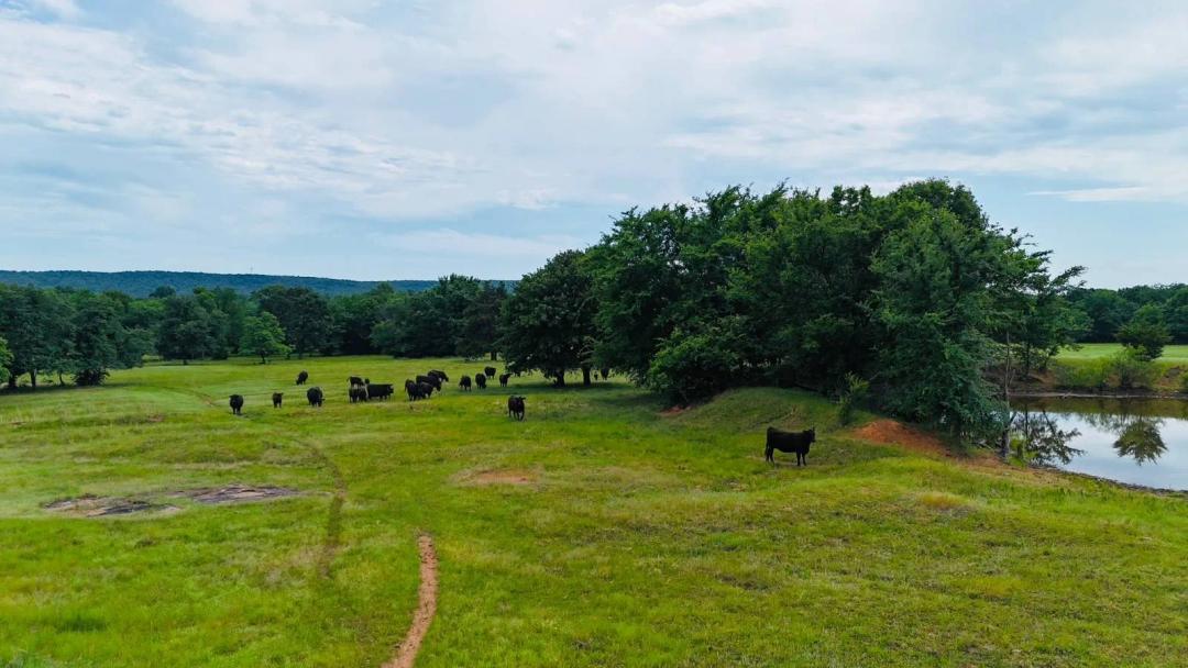 65 +/- ACRES FOR SALE NEAR LAKE EUFAULA UTILITIES AT PROPERTY