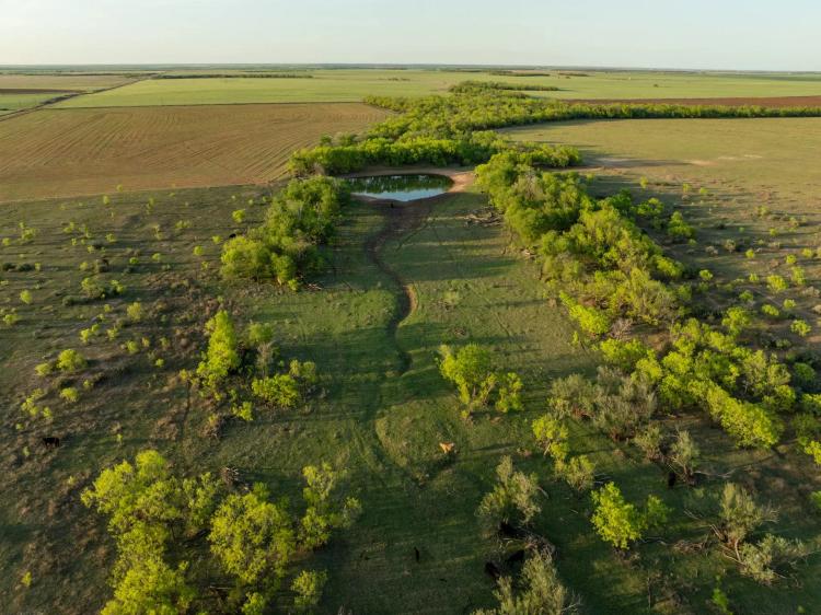 Freeman Pasture