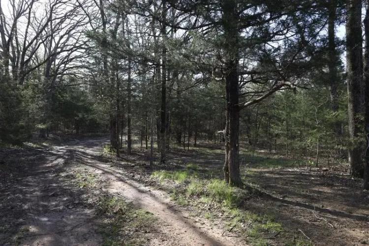 Deep Branch Creek 735
