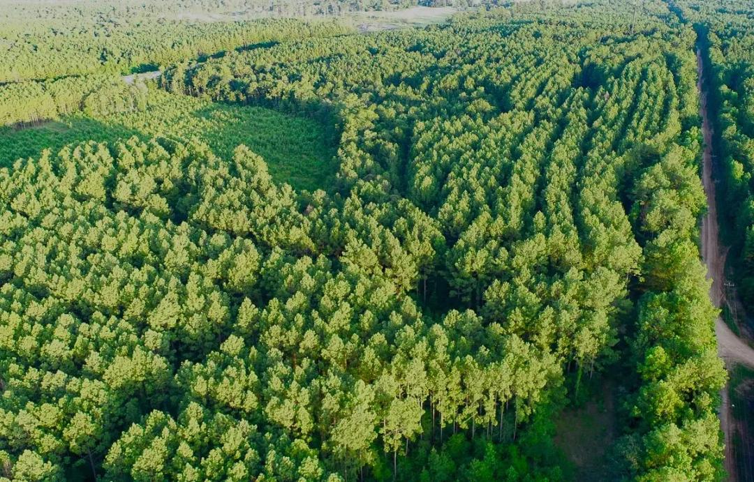 10 Acres | T-14A | Hickman Rd.