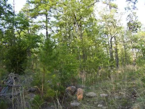 1428-acre-stone-creek-ra-2