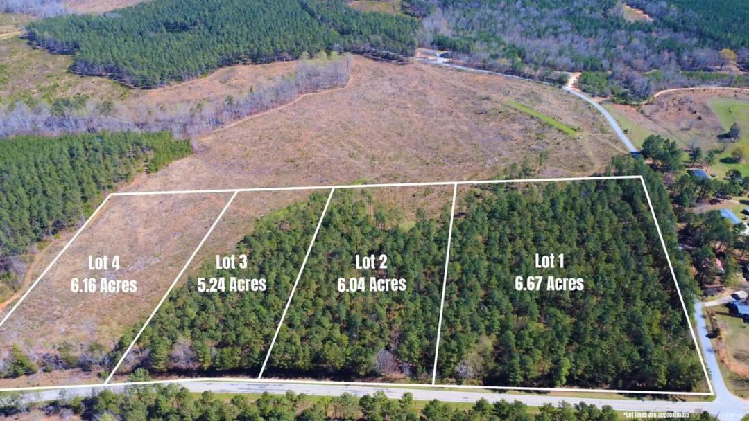 Peter Hawk Creek Estates (Lots 1-4)
