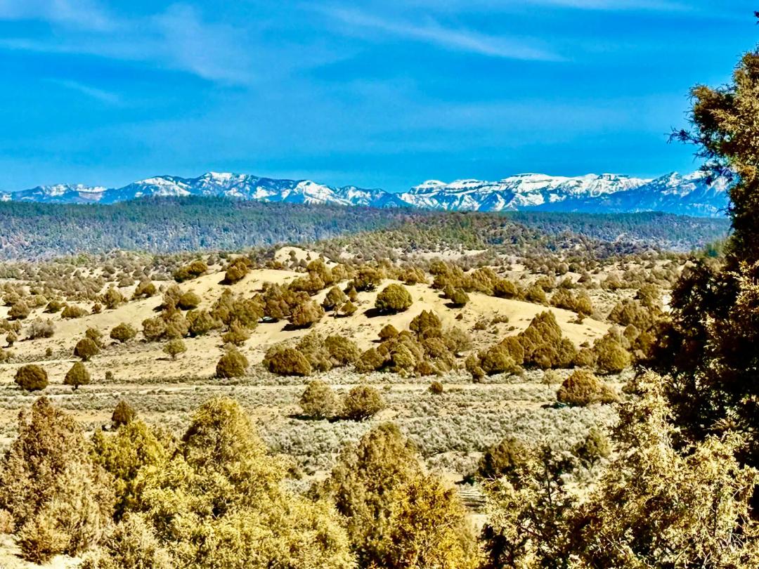 Pinon Hills Ranch Lot 27
