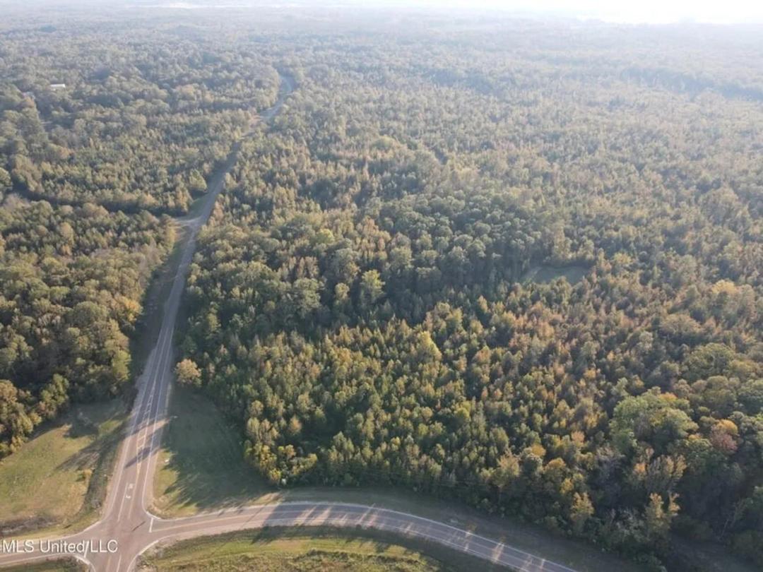 Potential Commercial Property for Sale in Clinton, MS