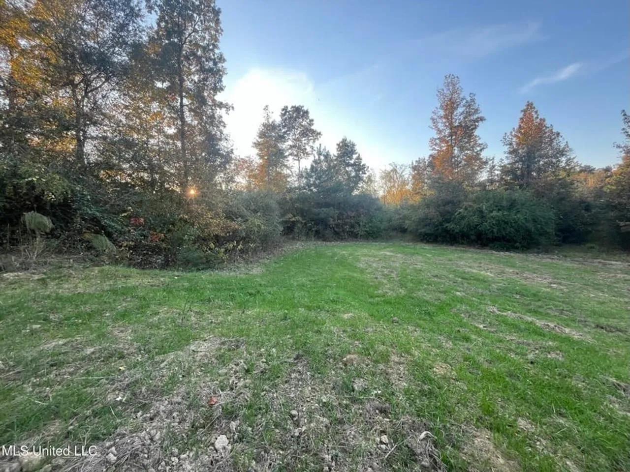 33854783-11